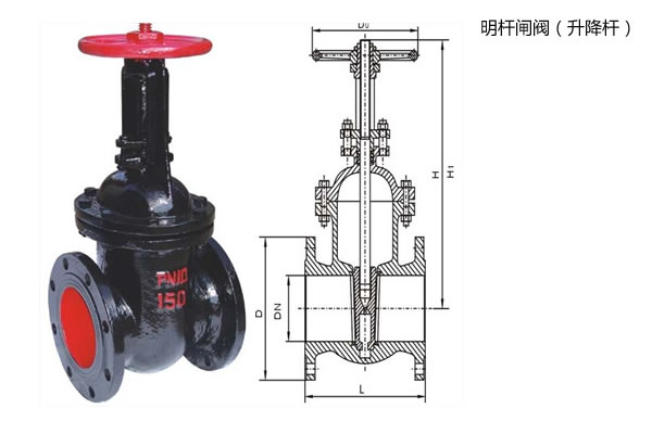 明桿閘閥結構圖